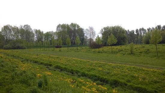 Park Dolina Służewiecka